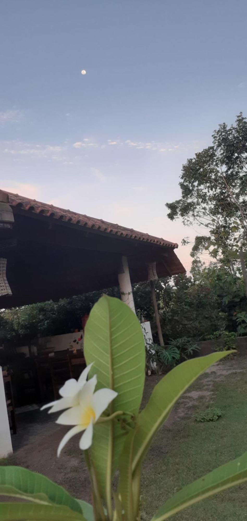 Pousada Reis Magos Nova Caraíva Exteriör bild